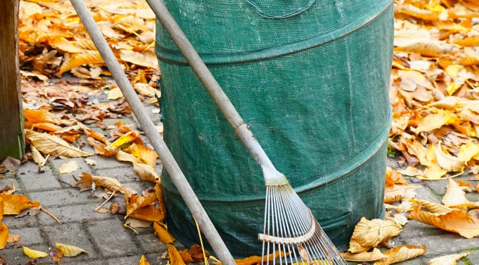 Gemeinde – Herbstputztag